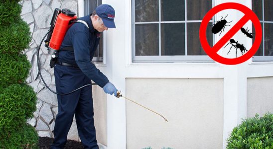 Alacakaya Gümüşkurt İlaçlama böcek ilaçlama ve haşere kontrolü — ilaclama-tr.com